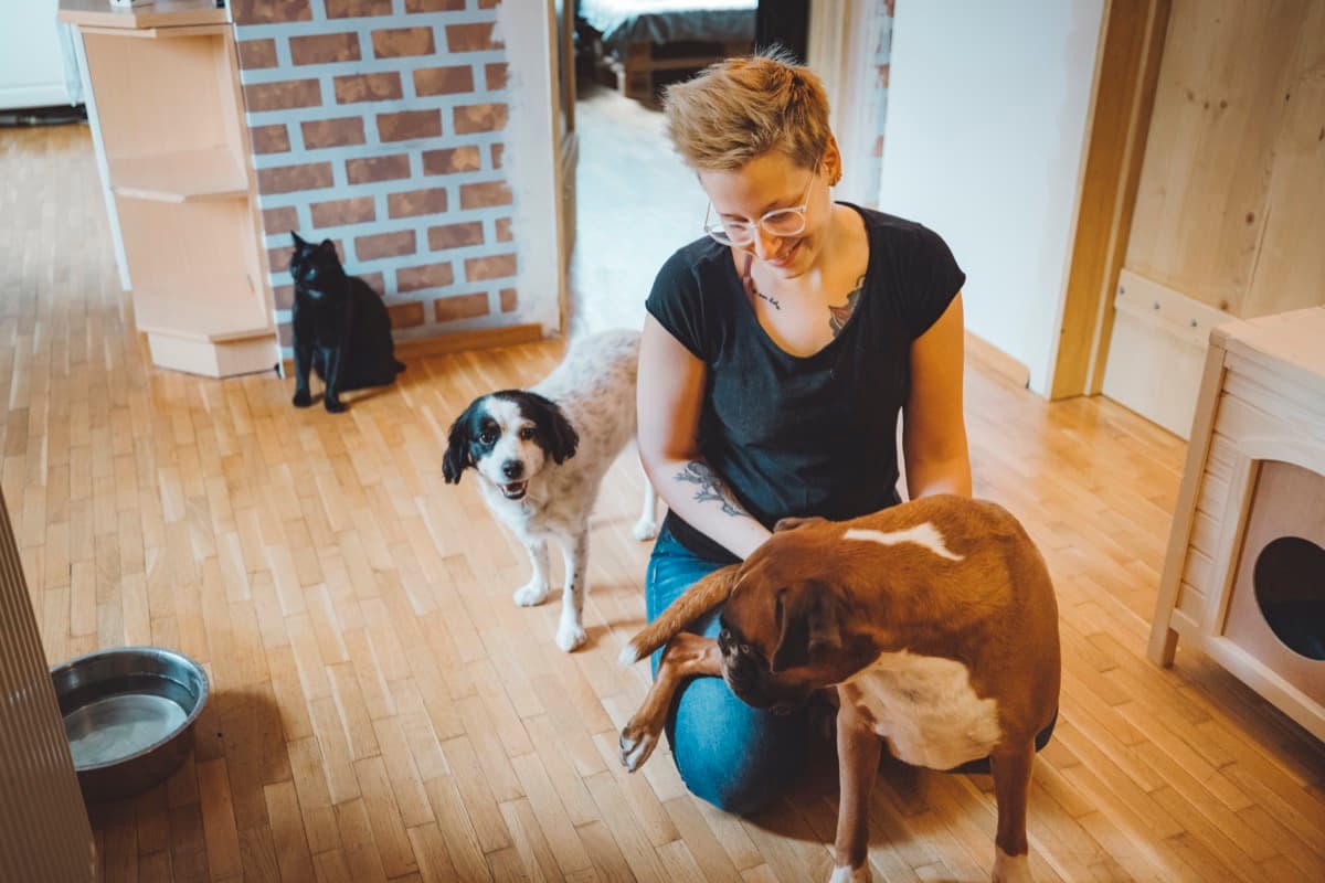 Dogsitter certifi\u00e9e ACACED avec deux chiens