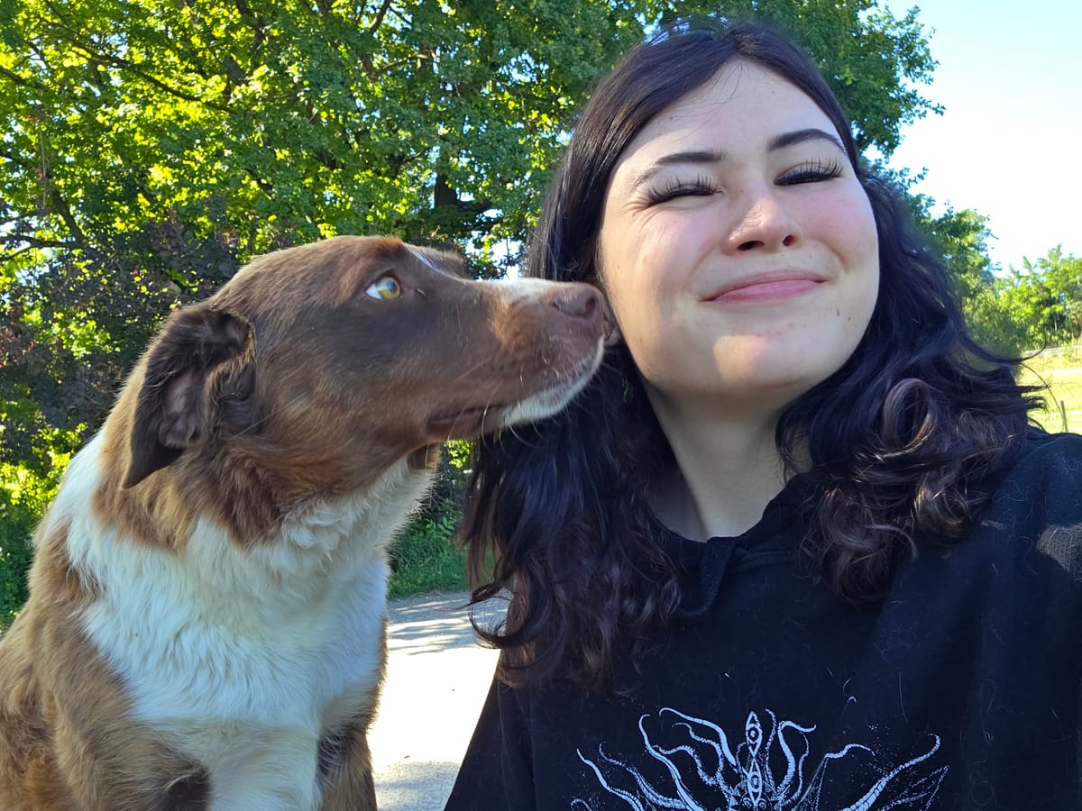 Purr Instinct — dogsitter à Rive-de-Gier