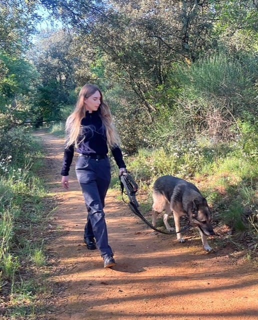 Instant Canin, dogsitter à Orange
