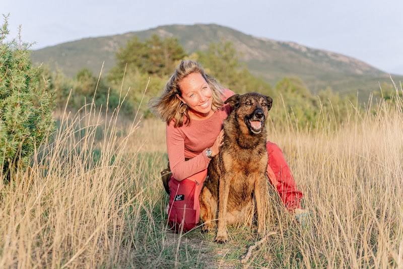 1 vie 2 chiens — dogsitter à Régusse