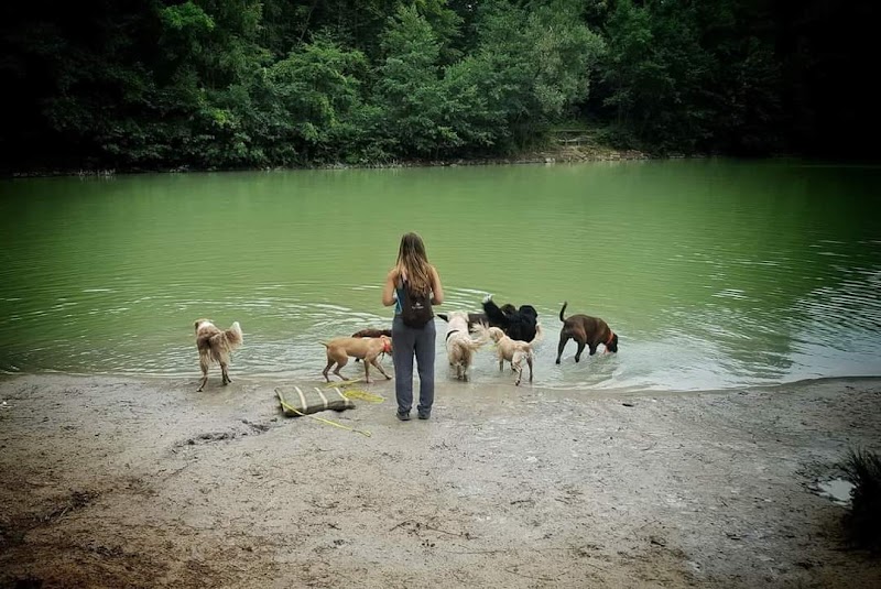 4 Pattes en Vadrouille — dogsitter à Boulogne-Billancourt