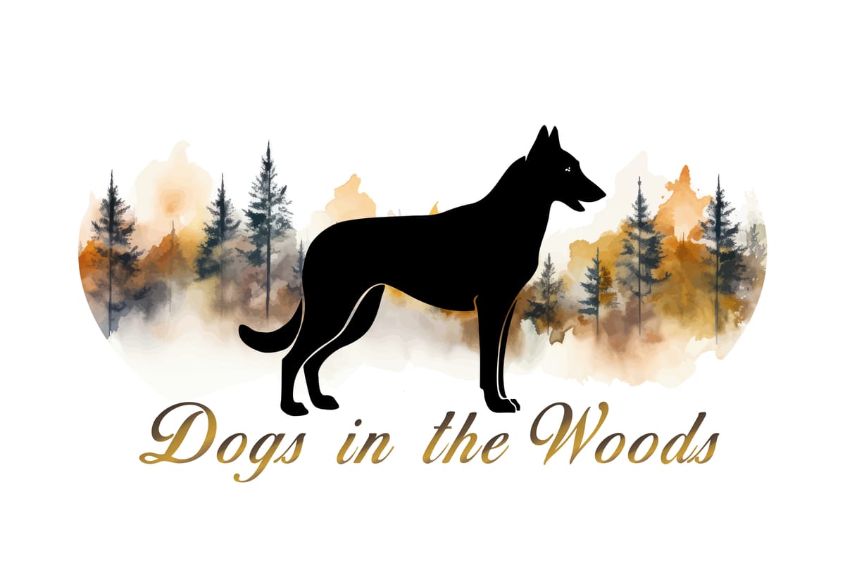 Dogs in th Woods, dogsitter à Reyvroz