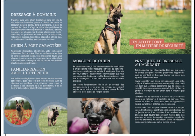 À Domicile Chien tranquille — dogsitter à Colmar