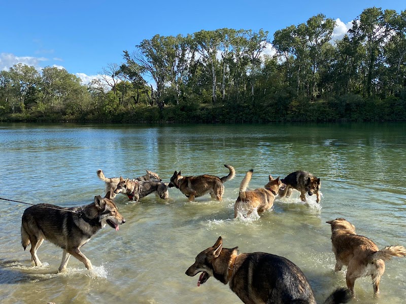 À la petite île Pension/Élevage — dogsitter à Avignon