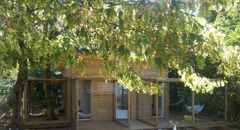 A Lovely Pets'Home — dogsitter à Créon