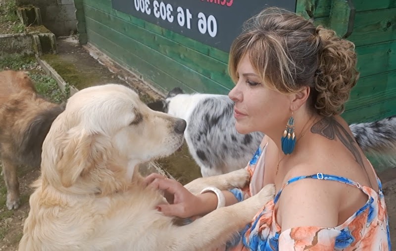 À TOUTOUX NOS AMOURS (Fanny Euksuzian Renard) — dogsitter à Vienne