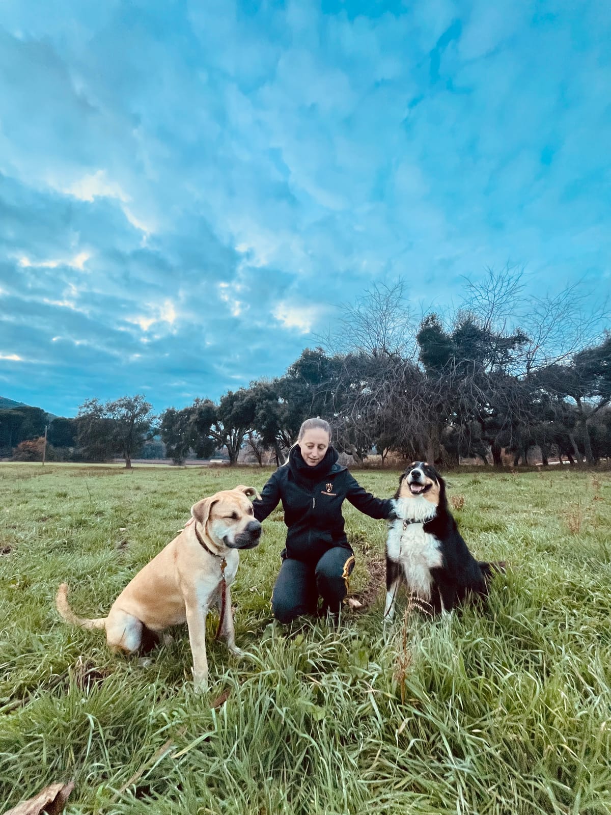 Dogs friendly  — dogsitter à Cogolin