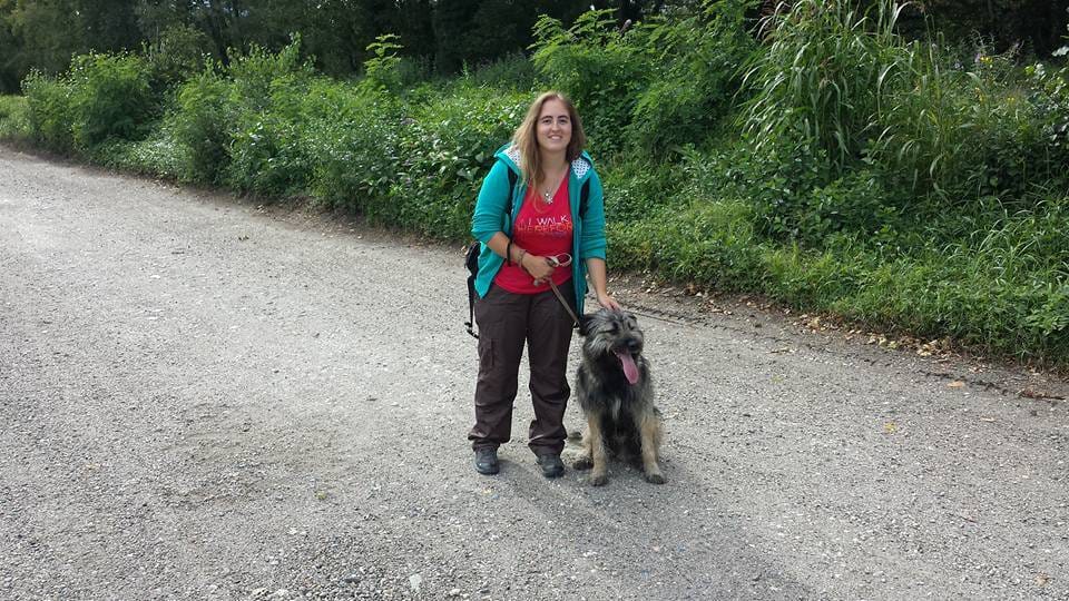 Virée ô Poils, dogsitter à Seyssins