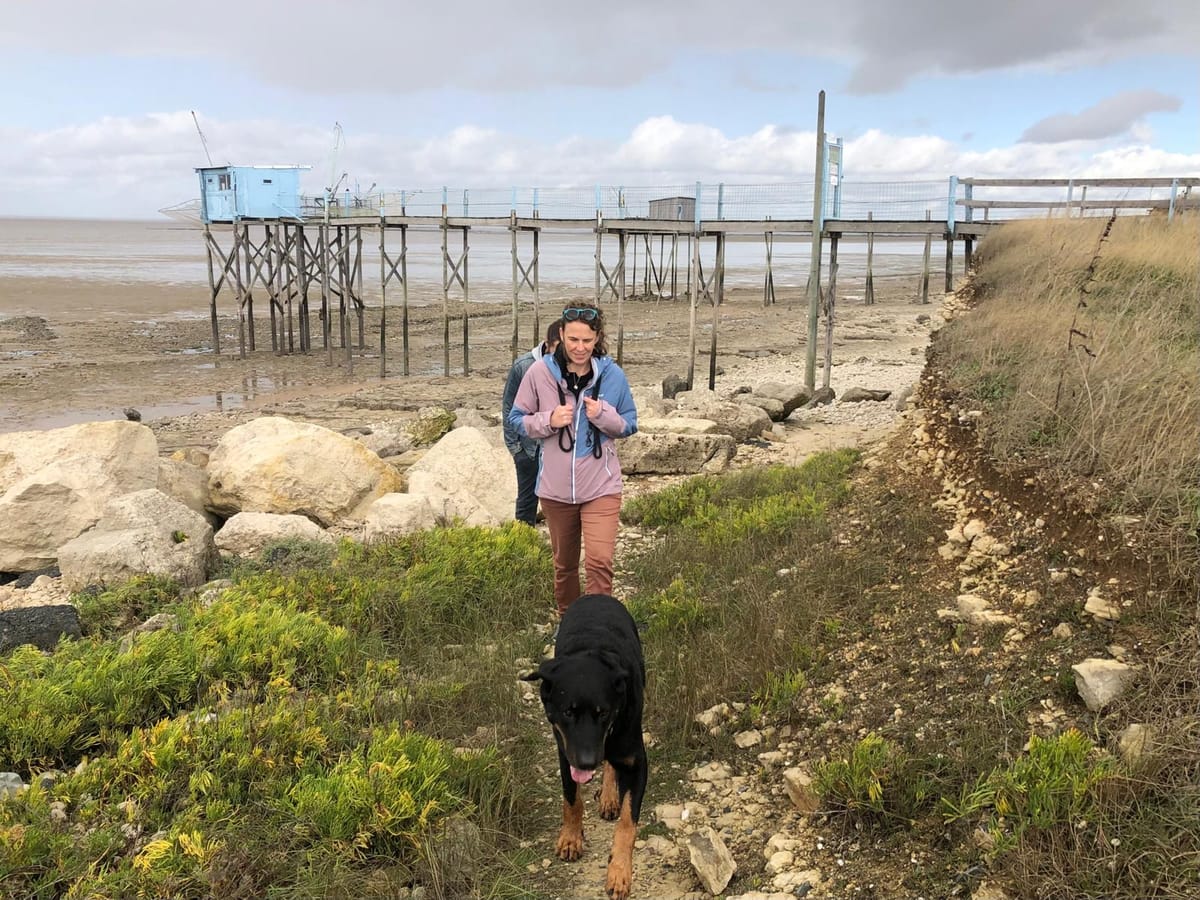 Loraine et Compagnie , dogsitter à Bègles