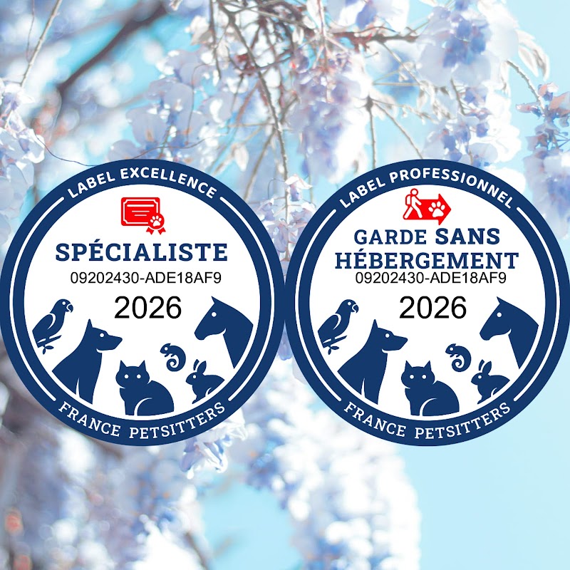 Anima'Services Pet sitting & Médiation animale — dogsitter à Bagnols-sur-Cèze