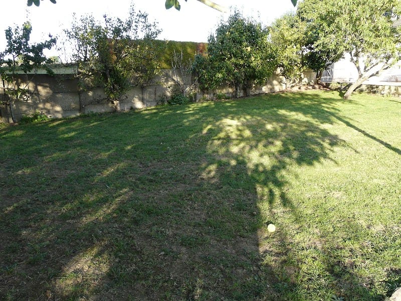 Animaël — dogsitter à Combourg