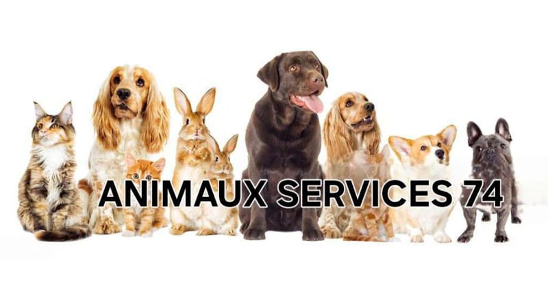 Animaux services 74 — dogsitter à Thonon-les-Bains