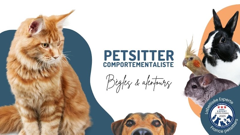 ANIMOVOUS by Emy Pet sitter chat lapin chien — dogsitter à Bordeaux