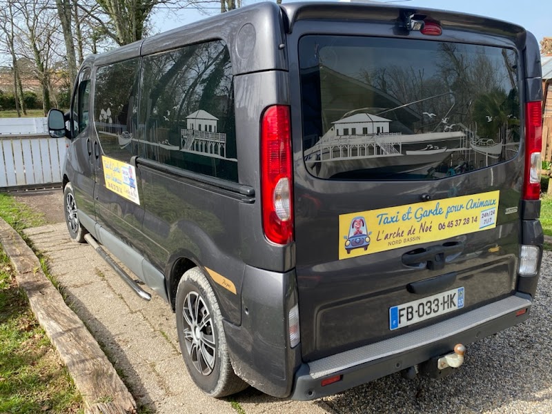 Arche de Noé Nord Bassin — dogsitter à Andernos-les-Bains