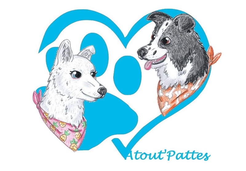 Atout’pattes — dogsitter à Montaigu-Vendée