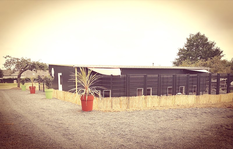 Au Pays de la Tribo — dogsitter à Châteaubriant