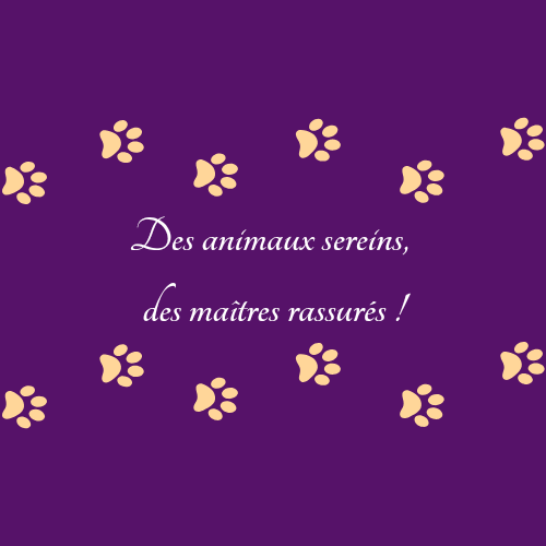 Au Poil — dogsitter à Lyon