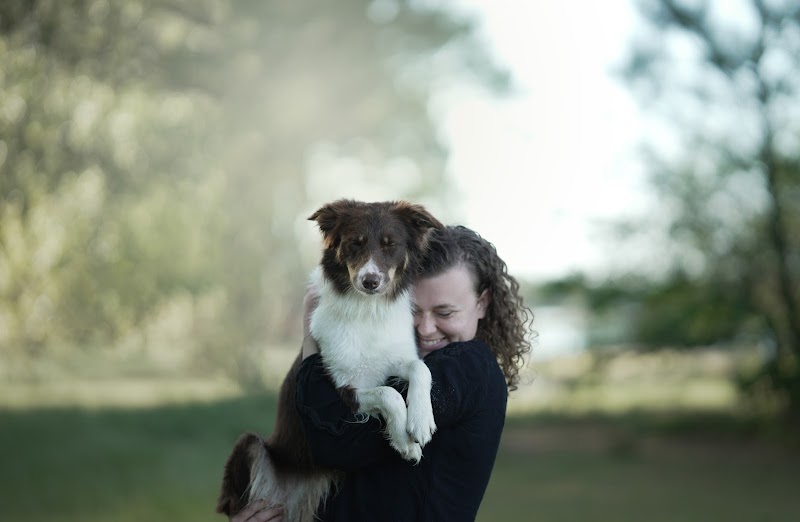 Au Rythme des Pattes | Pet-sitteur professionnelle | Willems (59) & alentours — dogsitter à Tourcoing