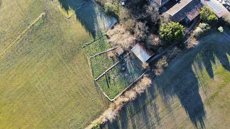 Auberge canine Midi-Pyrénées — dogsitter à Samatan