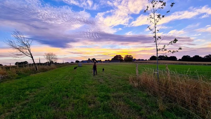 Aux Folles Gambades — dogsitter à Vitré