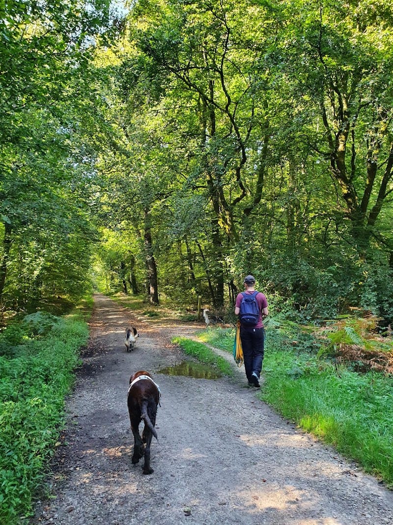 Avec mon chien — dogsitter à Rennes