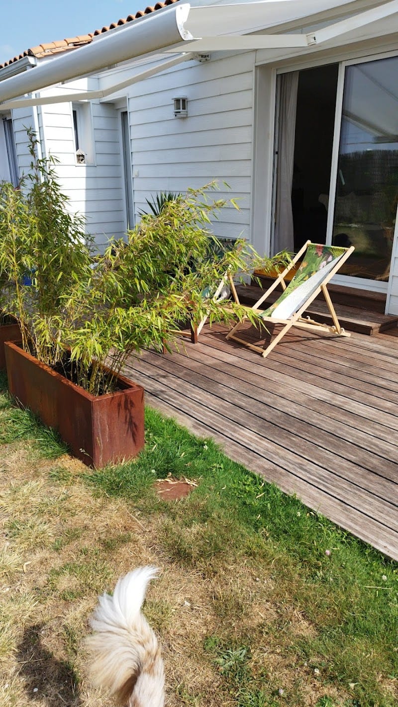 Babou and Co — dogsitter à Royan