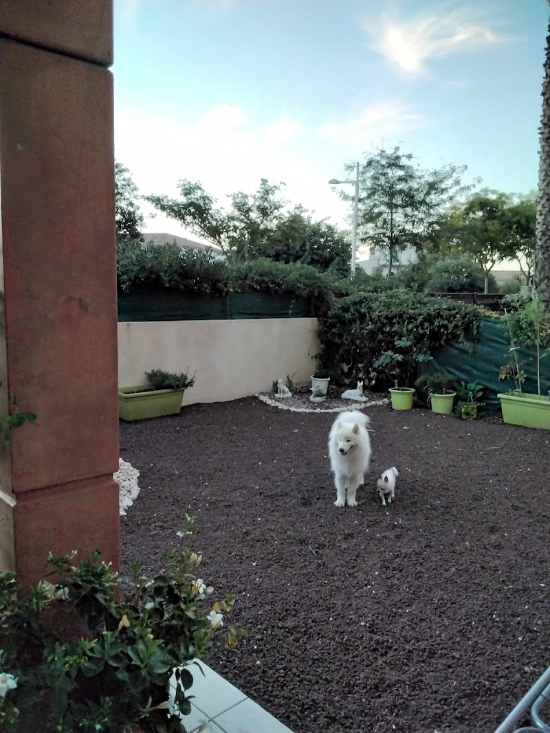 Boules de poils et compagnie - petsitter — dogsitter à Agde