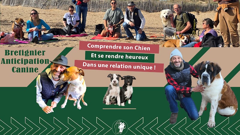 Bretignier Anticipation Canine — dogsitter à Draguignan
