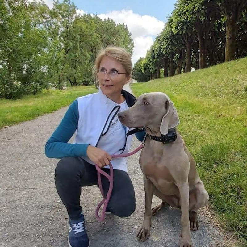 Brunet Services Animaliers E.I. — dogsitter à Saintes