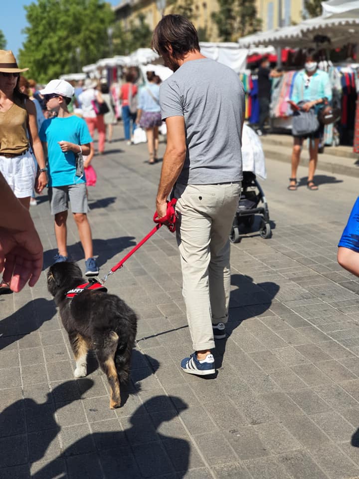 Cani'coach Adeline — dogsitter à Aix-en-Provence
