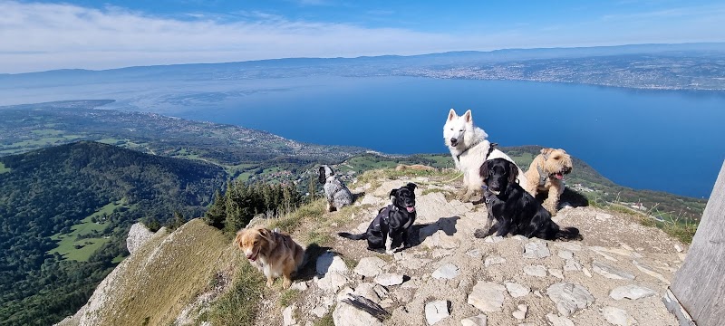 Cani Evasion — dogsitter à Thonon-les-Bains