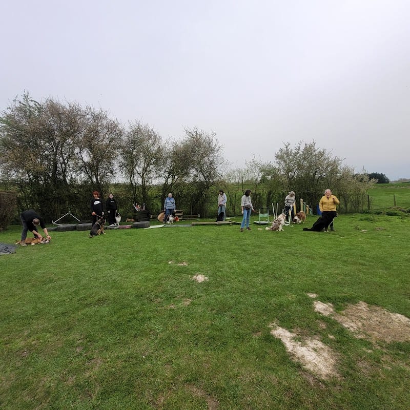 CANI-LOGIC — dogsitter à Armentières