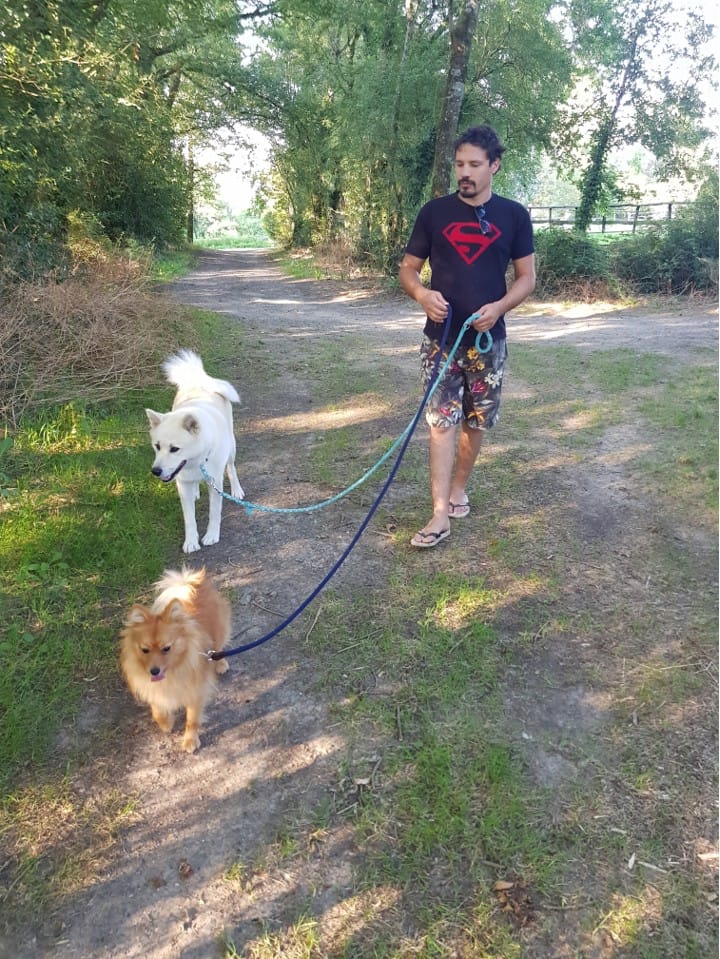 Caniway — dogsitter à Orée d'Anjou