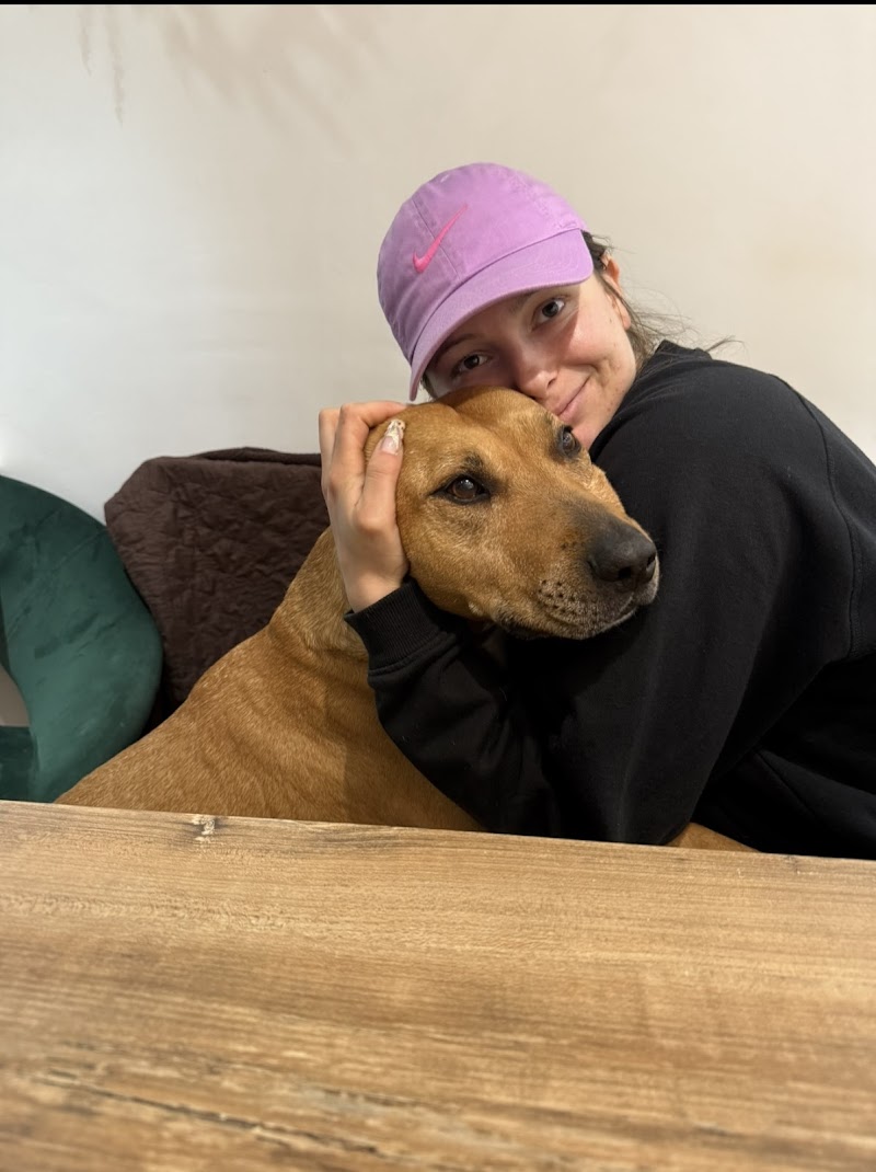 Capucine - Dogsitter — dogsitter à Avignon