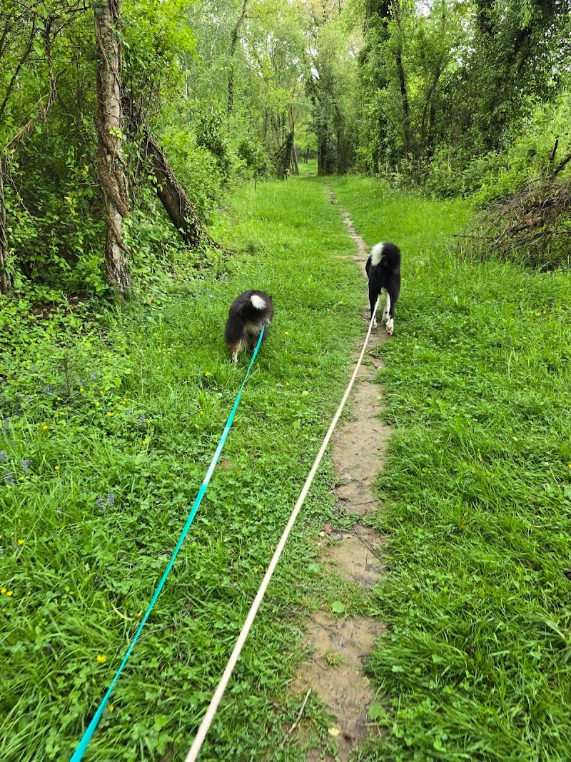 Cél'in House Pet Sitter — dogsitter à Tarbes