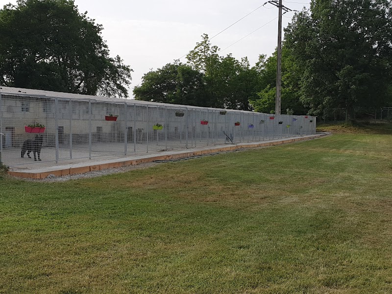 Centre Canin des Bergers du Salat Pension Canine et Féline elevage de Bergers Allemands — dogsitter à Martres-Tolosane
