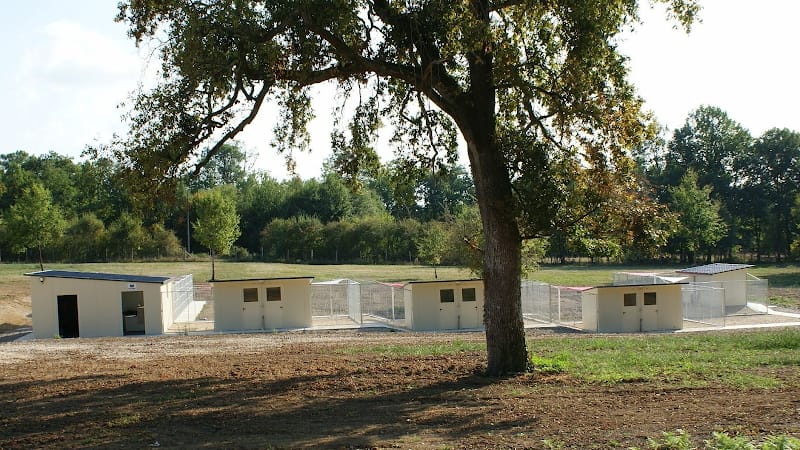 Centre Canin et Félin Mas Dog — dogsitter à Langon