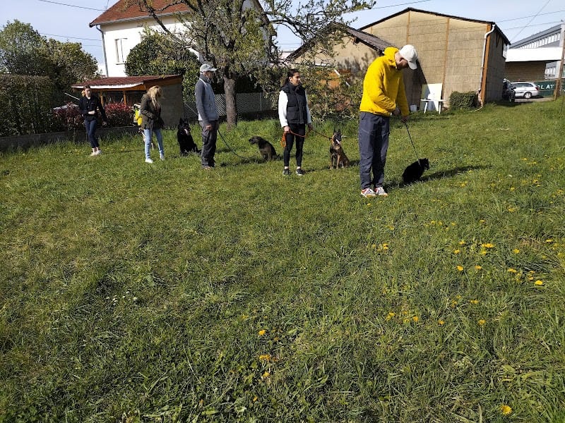 Centre Canin le Brin de Folie d'EASY — dogsitter à Cluny