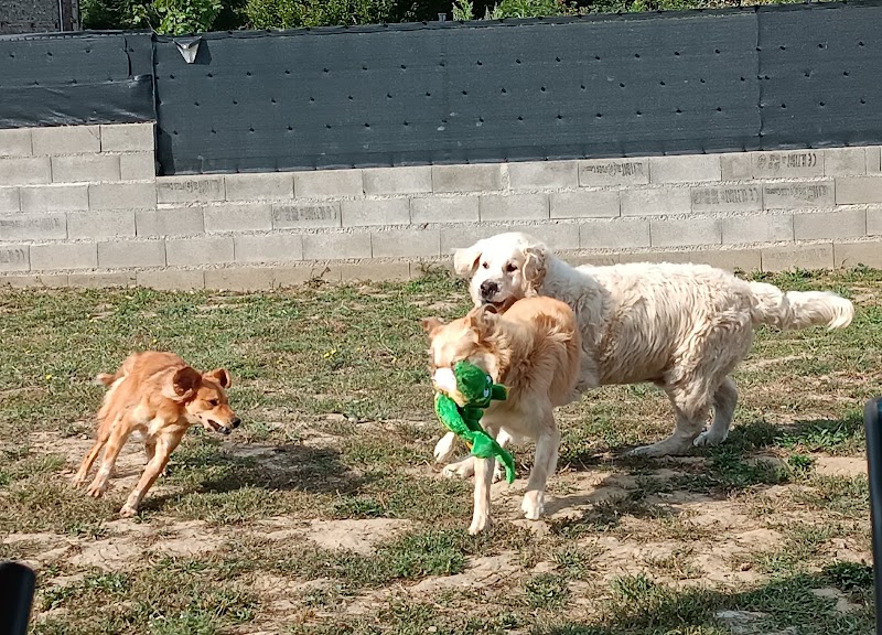 Chez Layya — dogsitter à Carbonne
