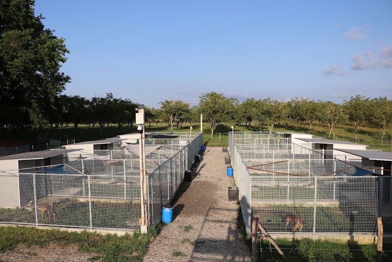 Chez Leeloo, auberge canine — dogsitter à Pamiers