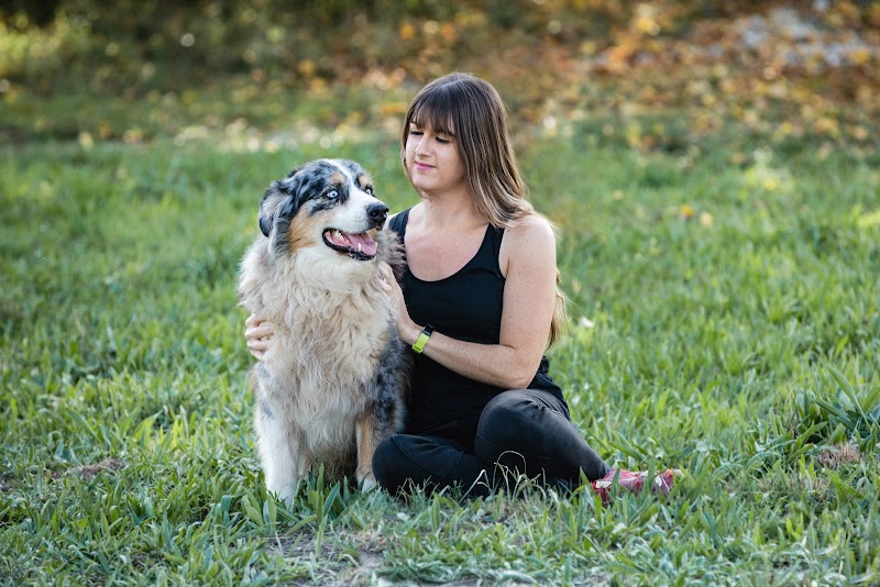 Chloé Pet Sitter — dogsitter à Nîmes