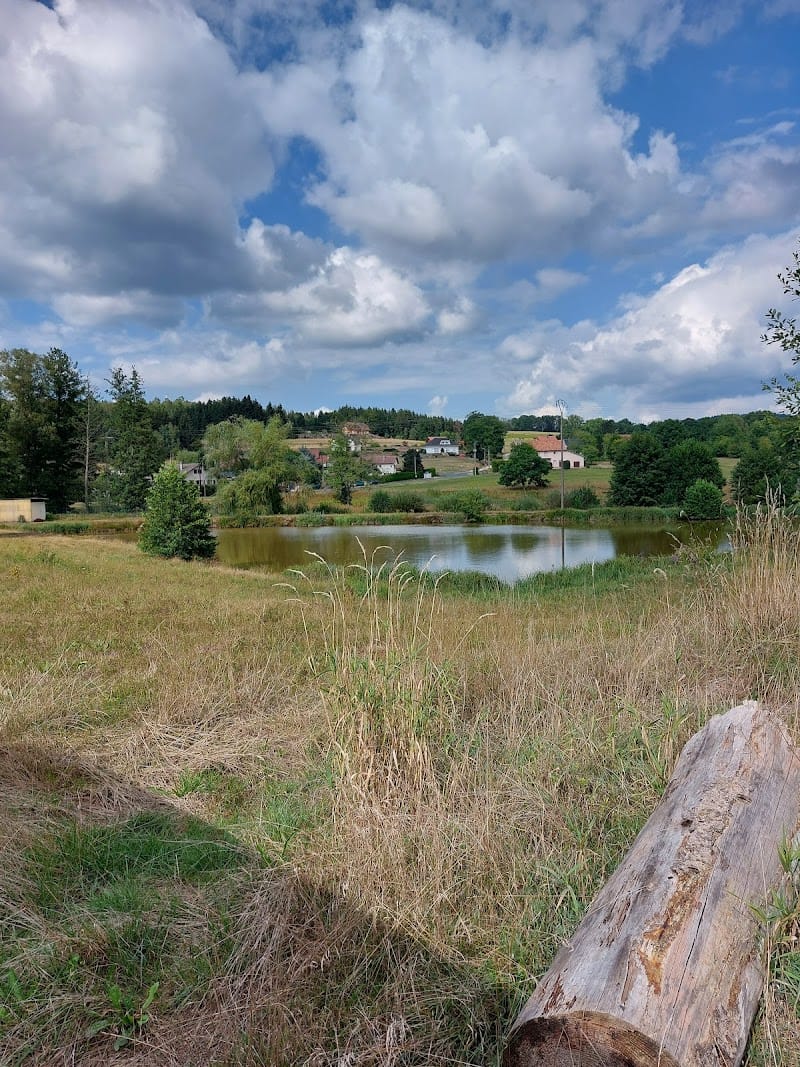 Club Met'on toutou — dogsitter à Saint-Dié-des-Vosges