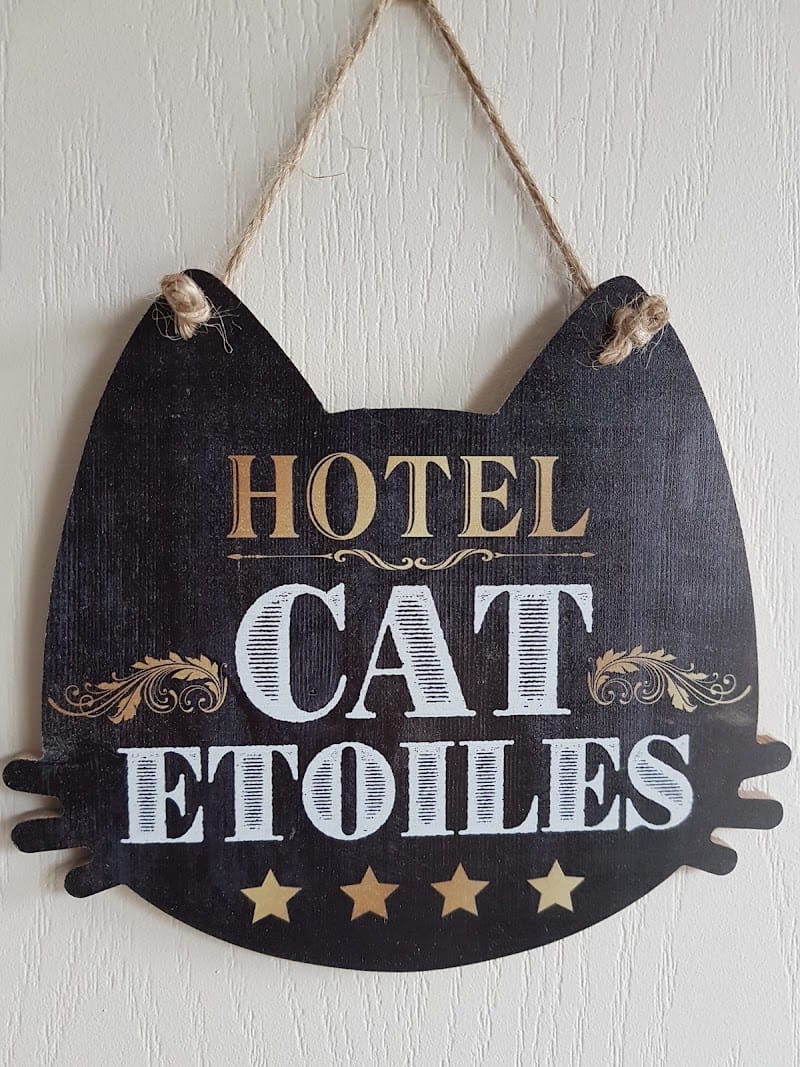 Co'Coon Cat hôtel pour chats — dogsitter à Coutras