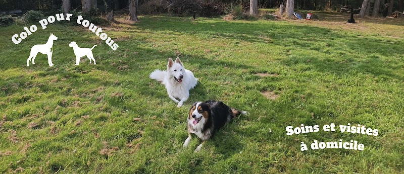 colo pour toutous — dogsitter à Blain