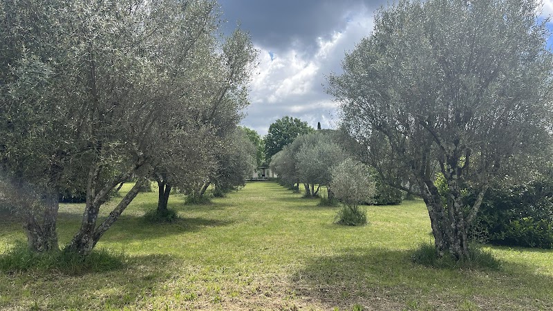 Com un cœur âme à patte