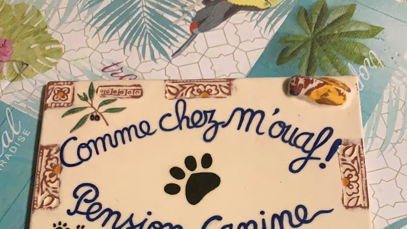 Comme chez m'Ouaf — dogsitter à Tarbes