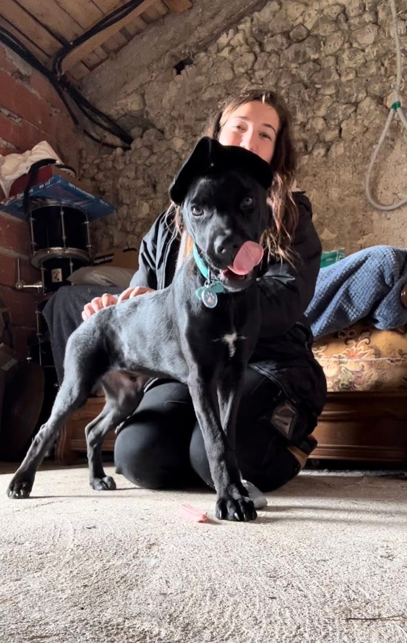 Conscience animale — dogsitter à La Roche-Chalais