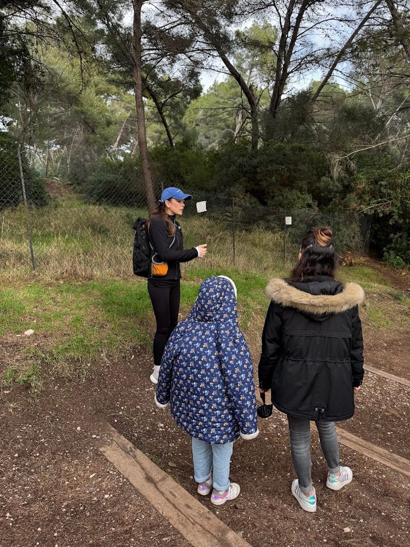 Crocs Kaizen — dogsitter à Alès