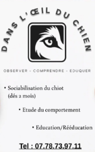 Dans L'oeil du Chien — dogsitter à Vinon-sur-Verdon