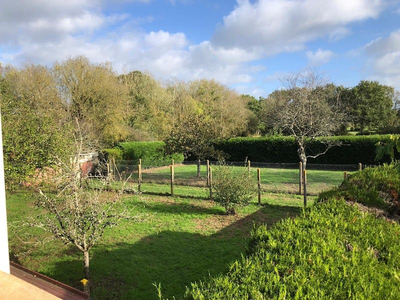 Des chiens, des chats et des hommes — dogsitter à Pornic